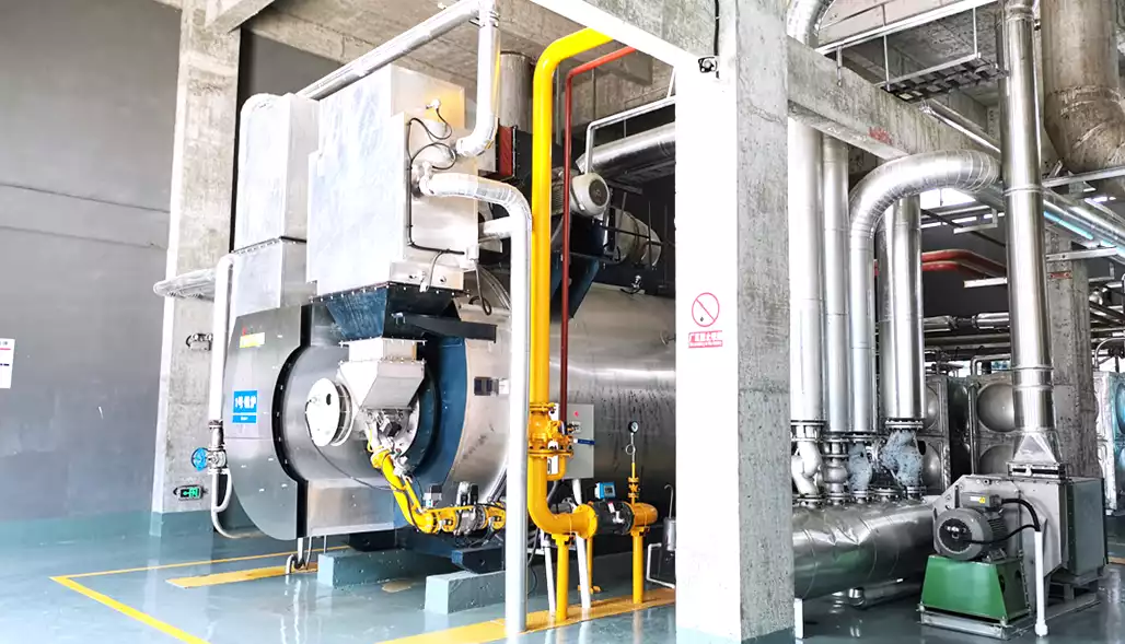 Thailand 2 ton condensing gas steam boiler project