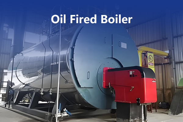 How Much Fuel Does a 4 Ton Steam Boiler Consume Per Hour?