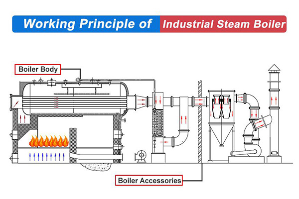 Industrial Boiler System