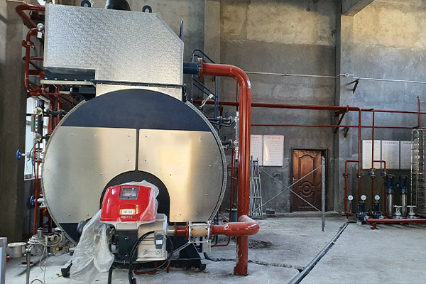 gas steam boiler project